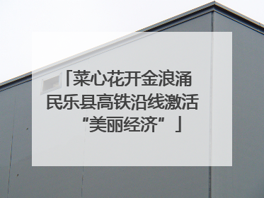 菜心花开金浪涌 民乐县高铁沿线激活“美丽经济”