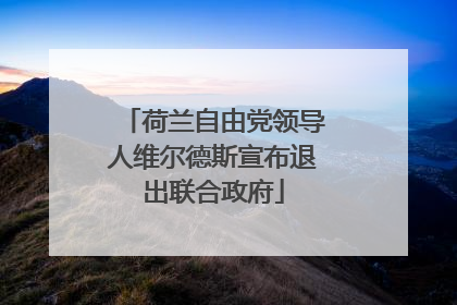 荷兰自由党领导人维尔德斯宣布退出联合政府