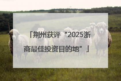荆州获评“2025浙商最佳投资目的地”