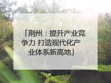 荆州：提升产业竞争力 打造现代化产业体系新高地