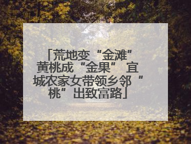荒地变“金滩” 黄桃成“金果” 宜城农家女带领乡邻“桃”出致富路