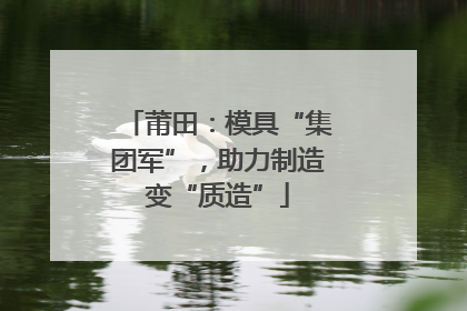 莆田：模具“集团军”，助力制造变“质造”