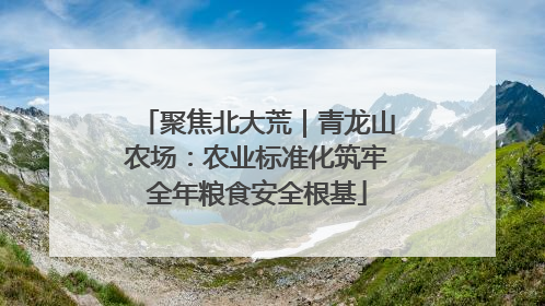 聚焦北大荒｜青龙山农场：农业标准化筑牢全年粮食安全根基