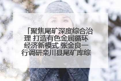 聚焦尾矿深度综合治理 打造有色金属循环经济新模式 张金良一行调研栾川县尾矿库综合治理工作