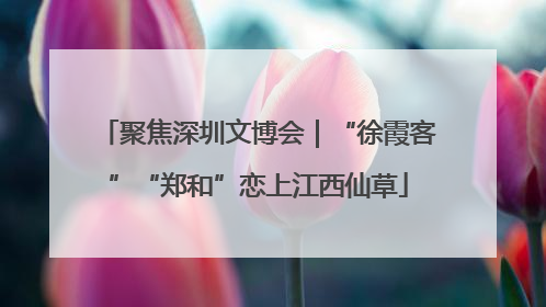 聚焦深圳文博会｜“徐霞客”“郑和”恋上江西仙草