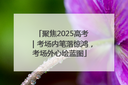 聚焦2025高考｜考场内笔落惊鸿，考场外心绘蓝图