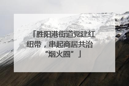 胜阳港街道党建红纽带，串起商居共治 “烟火圈”