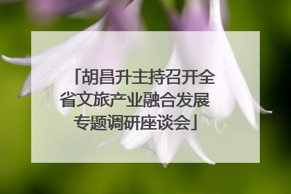 胡昌升主持召开全省文旅产业融合发展专题调研座谈会