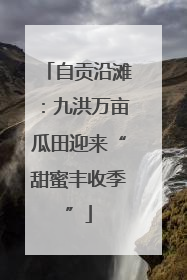 自贡沿滩：九洪万亩瓜田迎来“甜蜜丰收季”