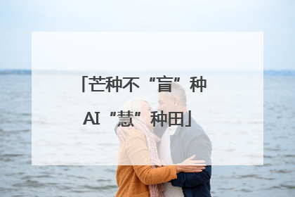 芒种不“盲”种 AI“慧”种田