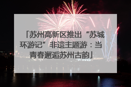 苏州高新区推出“苏城环游记”非遗主题游：当青春邂逅苏州古韵
