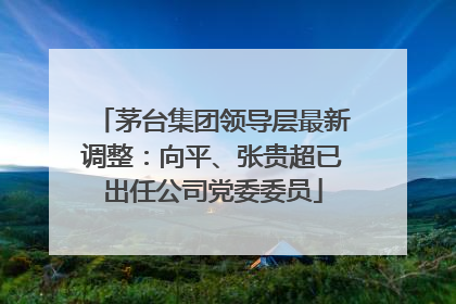 茅台集团领导层最新调整：向平、张贵超已出任公司党委委员