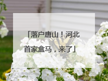 落户唐山！河北首家盒马，来了