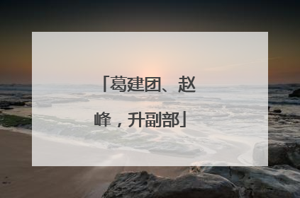 葛建团、赵峰，升副部