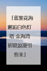蓝紫花海邂逅白色灯塔 金海湾初夏浪漫引客来