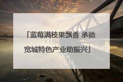 蓝莓满枝果飘香 承德宽城特色产业助振兴