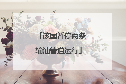 该国暂停两条输油管道运行