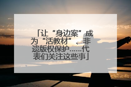 让“身边案”成为“活教材”、非遗版权保护……代表们关注这些事
