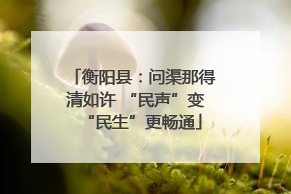 衡阳县：问渠那得清如许 “民声”变“民生”更畅通