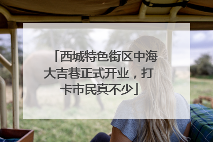西城特色街区中海大吉巷正式开业，打卡市民真不少