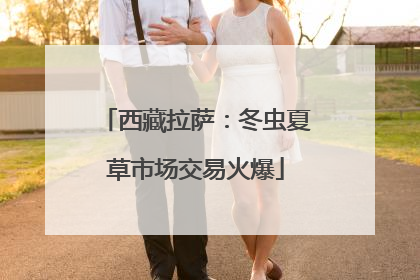 西藏拉萨：冬虫夏草市场交易火爆