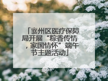 襄州区医疗保障局开展“粽香传情，家国情怀”端午节主题活动
