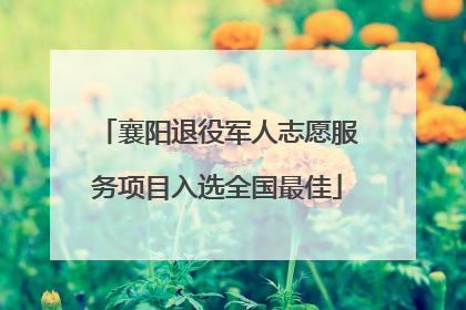 襄阳退役军人志愿服务项目入选全国最佳