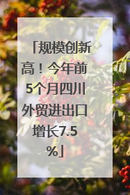 规模创新高！今年前5个月四川外贸进出口增长7.5%