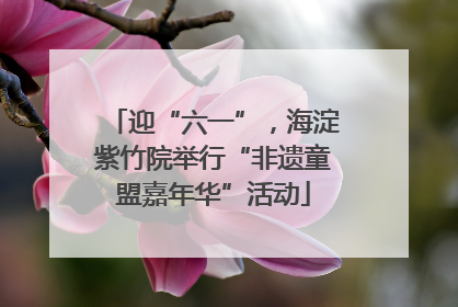迎“六一”，海淀紫竹院举行“非遗童盟嘉年华”活动