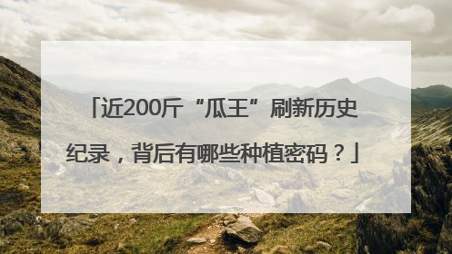 近200斤“瓜王”刷新历史纪录，背后有哪些种植密码？