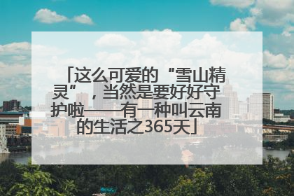 这么可爱的“雪山精灵”，当然是要好好守护啦——有一种叫云南的生活之365天