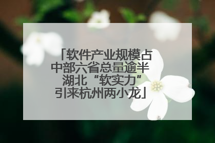 软件产业规模占中部六省总量逾半 湖北“软实力”引来杭州两小龙