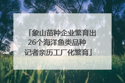 象山苗种企业繁育出26个海洋鱼类品种 记者亲历工厂化繁育