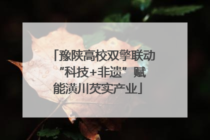 豫陕高校双擎联动 “科技+非遗”赋能潢川芡实产业