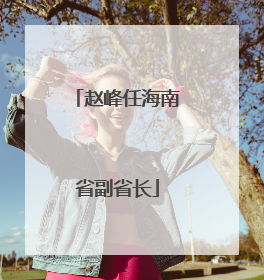赵峰任海南省副省长