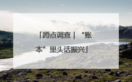 蹲点调查｜“账本”里头话振兴