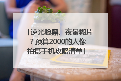 逆光脸黑、夜景糊片？预算2000的人像拍摄手机攻略清单
