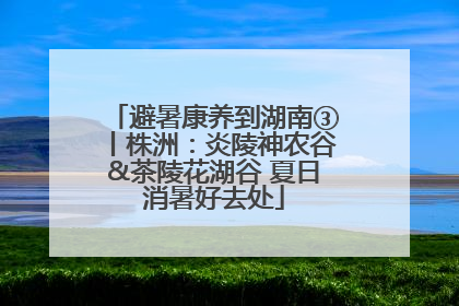 避暑康养到湖南③丨株洲：炎陵神农谷&茶陵花湖谷 夏日消暑好去处