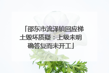 邵东市流泽镇回应梯土毁坏质疑：上级未明确答复而未开工