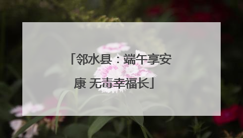 邻水县：端午享安康 无毒幸福长