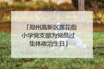 郑州高新区莲花街小学党支部为党员过集体政治生日