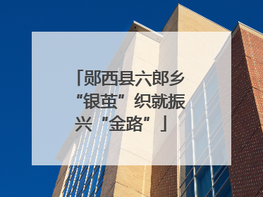 郧西县六郎乡“银茧”织就振兴“金路”