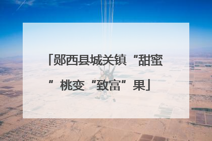 郧西县城关镇“甜蜜”桃变“致富”果