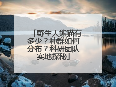 野生大熊猫有多少？种群如何分布？科研团队实地探秘