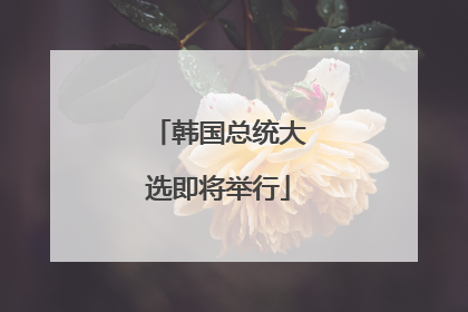 韩国总统大选即将举行