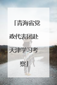 青海省党政代表团赴天津学习考察