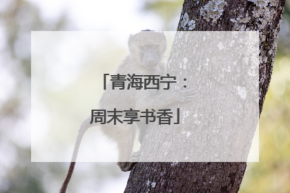 青海西宁：周末享书香