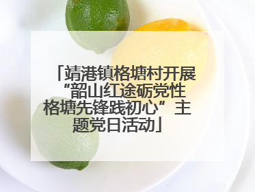 靖港镇格塘村开展“韶山红途砺党性 格塘先锋践初心”主题党日活动