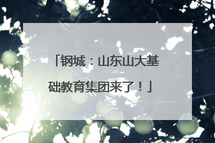 钢城：山东山大基础教育集团来了！
