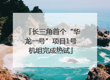长三角首个“华龙一号”项目1号机组完成热试